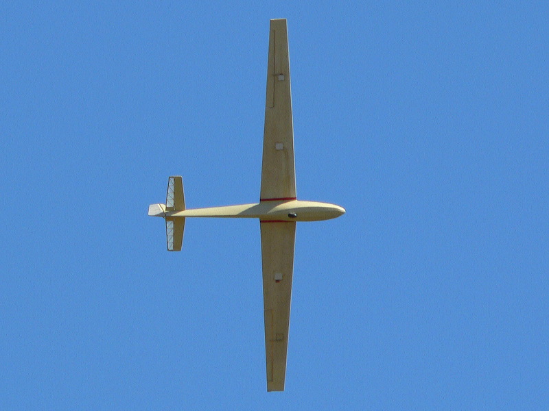 p1190567_1.jpg