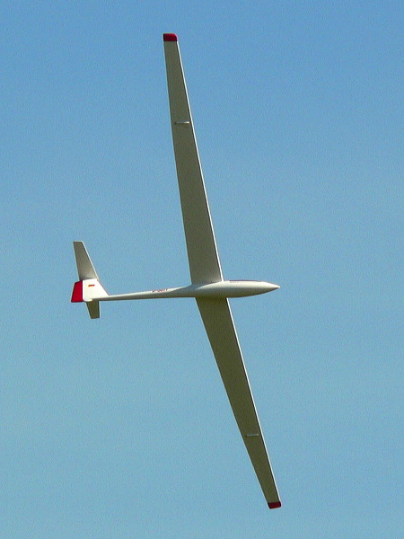p1100629_v.jpg