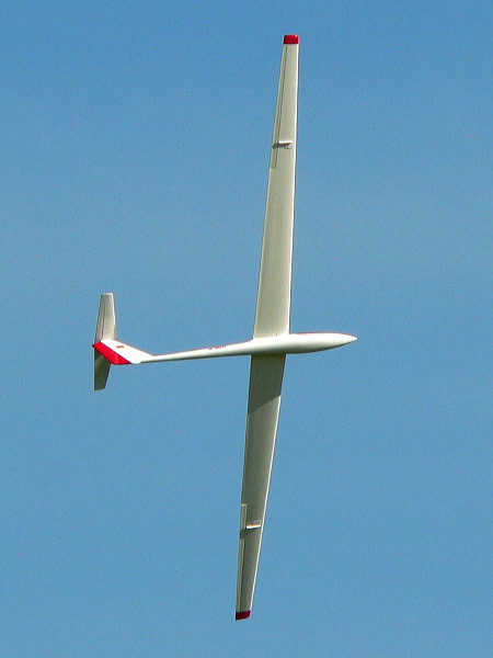 p1100631_v.jpg