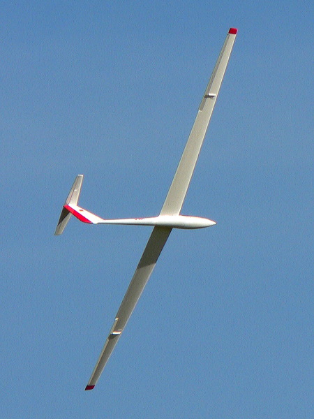 p1100632_v.jpg
