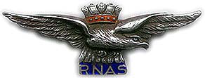 rnas_swe32.jpg