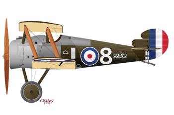 sopwith_snipe_3_350.jpg