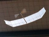 p1100103