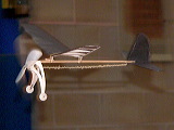 p1150005